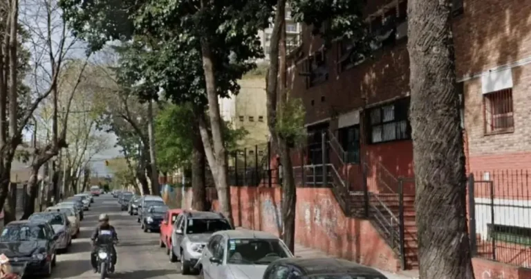 Newborn baby killed by falling avocado outside nursery