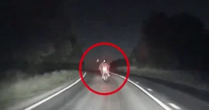 Motorcyclist filmed himself on GoPro goading police then speeding away at nearly 200mph