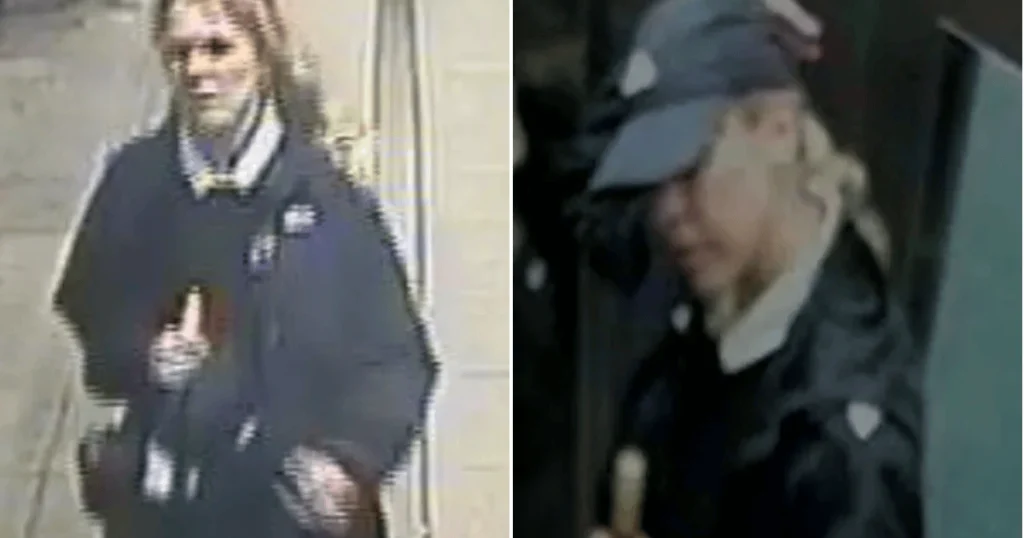 Search for woman after attempted abduction of girl, 7, in Tube station