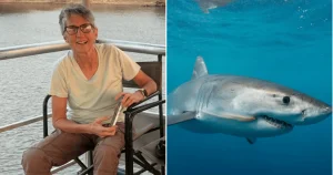 Woman killed in shark attack during morning swim