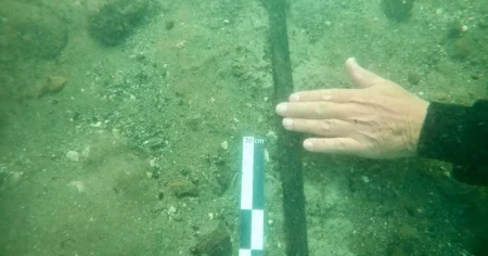 Newly discovered Bronze Age weapon may have been placed by a ‘cult’